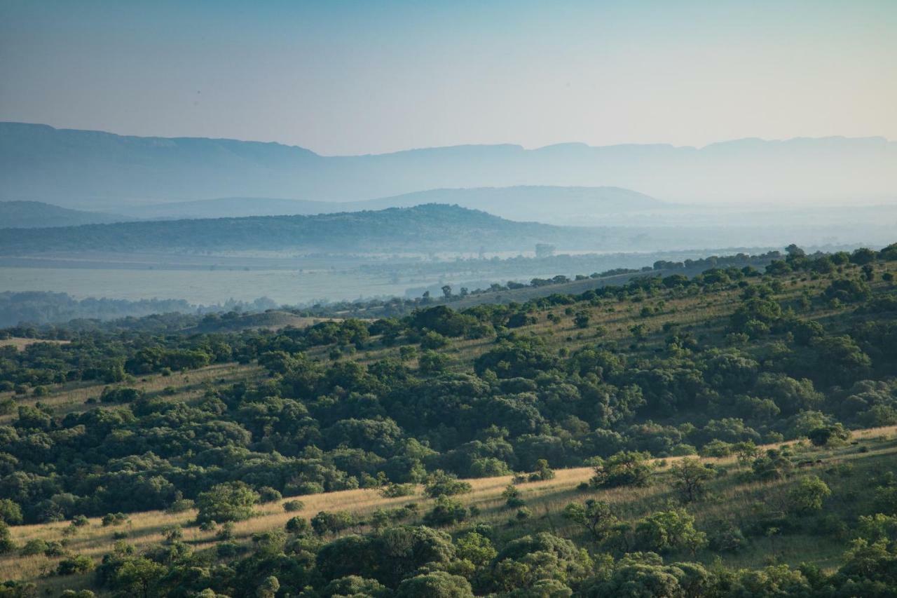 Bed and Breakfast Olive Tree Farm Магалисбург Экстерьер фото