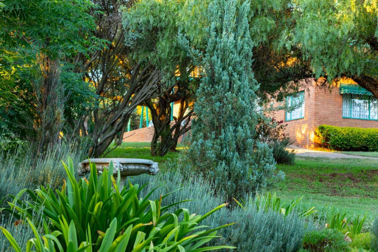 Bed and Breakfast Olive Tree Farm Магалисбург Экстерьер фото